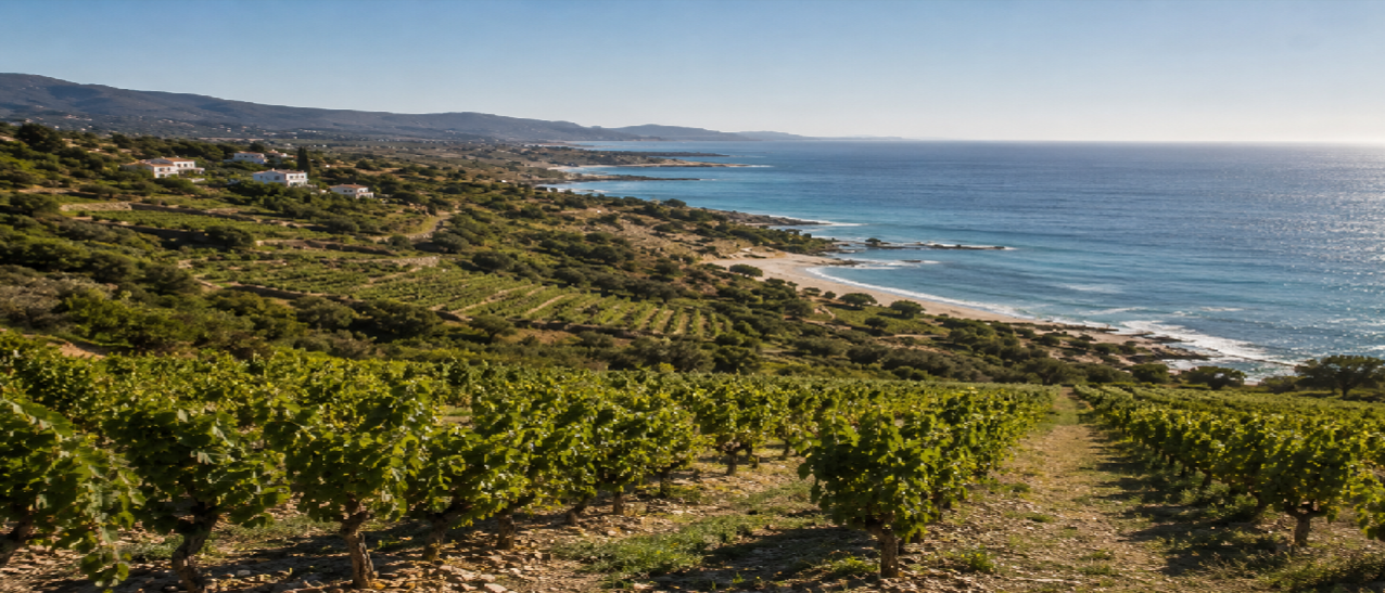 Paysage côtier